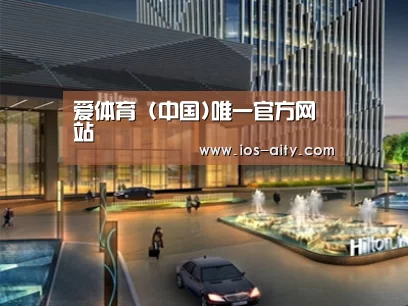 案例展示二(图1)