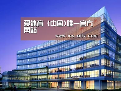 案例展示五