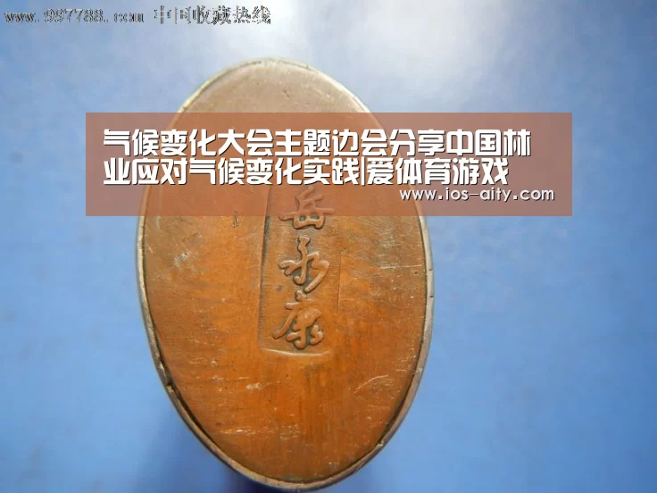 气候变化大会主题边会分享中国林业应对气候变化实践|爱体育游戏(图2) 爱体育娱乐